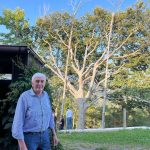 Giornata a Marmentino