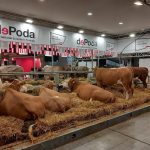 Fiera Zootecnica Internazionale di Cremona